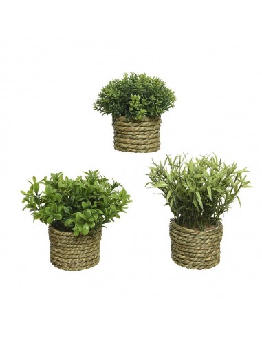 Maceta de planta verde ø16 x 13 cm, modelos variados