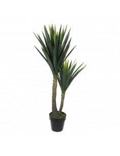 Maceta de yucca, 60 x 120 cm