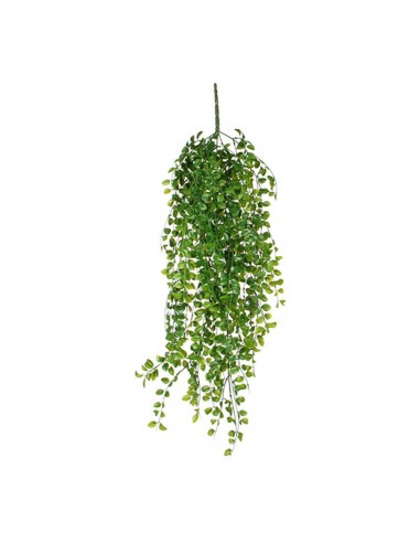 Maceta colgante de ficus verde, 81 cm
