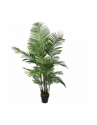 Maceta de palmera areca, ø80 x 160 cm