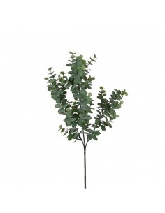 Rama de eucalipto verde 65 cm
