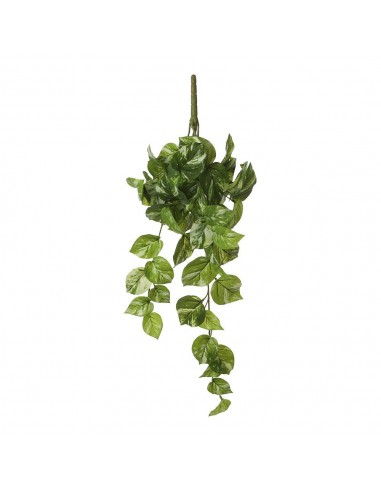 Maceta colgante de poto verde, 14 x 58 x 20 cm