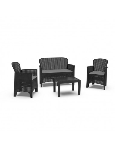 Conjunto jardín jungle 4 piezas antracita + cojines