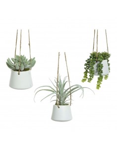 Maceta colgante de suculenta, 20 cm, modelos variados