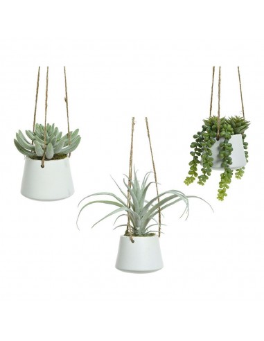 Maceta colgante de suculenta, 20 cm, modelos variados