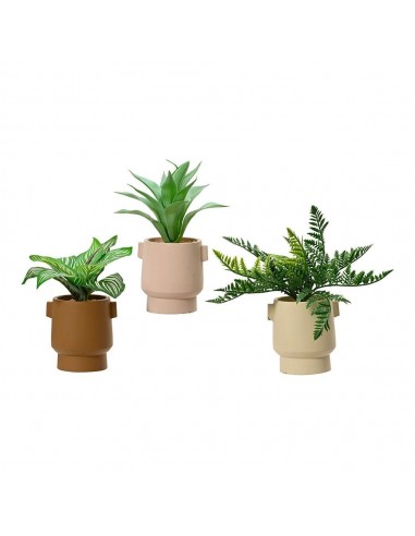 Maceta de planta verde, 25 cm, con tiesto de colores surtidos, modelos variados