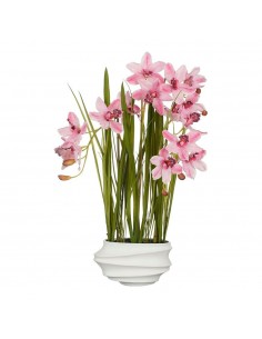 Maceta cymbidium orquidea barco rosa, 40 x 49 x 81 cm