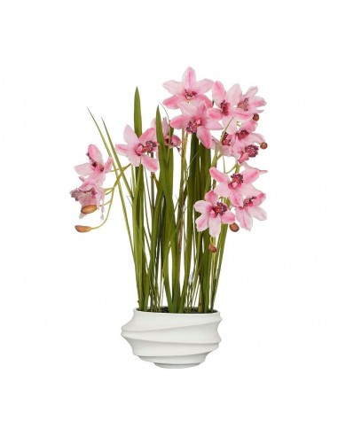 Maceta cymbidium orquidea barco rosa, 40 x 49 x 81 cm