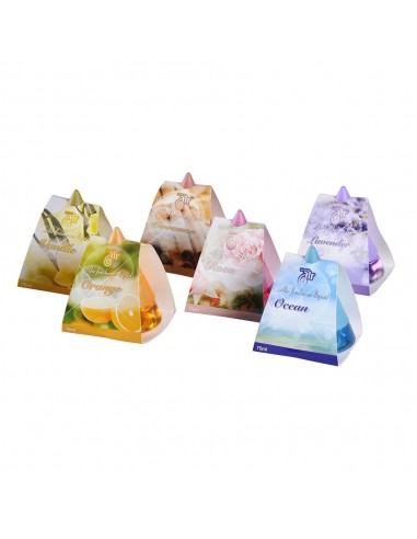 Ambientador 75ml fragancias surtidas