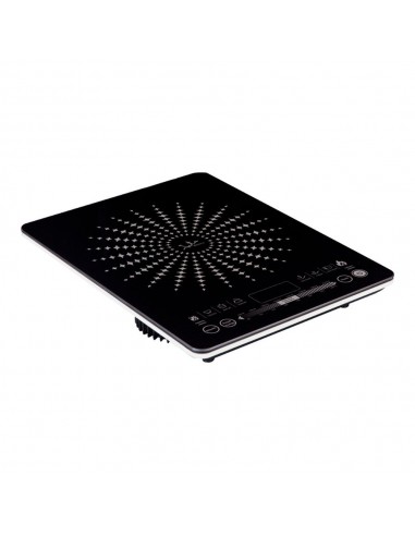Placa de inducción 2100 w
