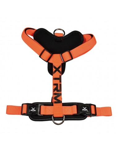 Arnés x-trm cronos neon flash naranja, t-m 20 mm x 46-75 cm