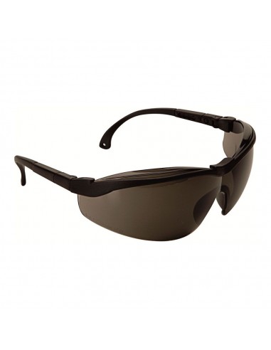 Gafas de protección ref. 595 gris