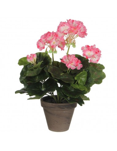 Maceta de geranio blanco rosado, ø11,5 x 33 cm
