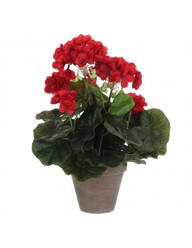 Maceta de geranio rojo, ø11,5 x 33 cm