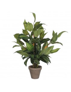 Maceta de hosta verde, 15,5 x 65 cm