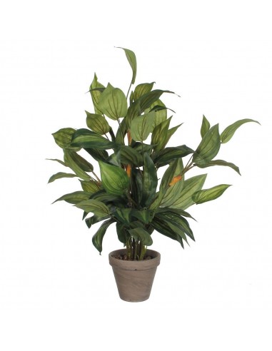 Maceta de hosta verde, 15,5 x 65 cm