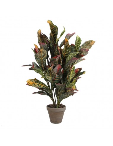 Maceta croton verde, 73 x 40 cm