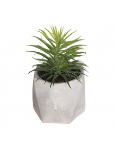 Maceta mini de suculenta, 7 x 14 cm, modelos variados