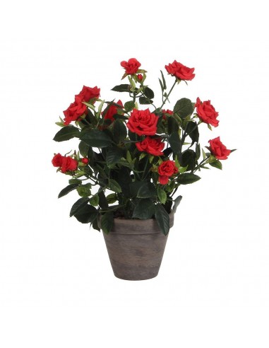 Maceta de rosal rojo, ø11,5 x 33 x 25 cm