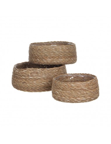 Cesto de mimbre ø20 x 8 cm, ø23 x 9 cm, ø26 x 10 cm, set de 3 piezas