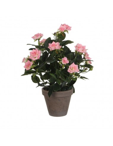 Maceta de rosal rosa, ø11,5 x 33 x 25 cm