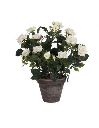 Maceta de rosal blanco, ø11,5 x 33 x 25 cm