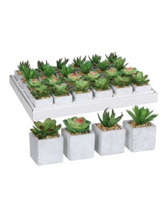 Maceta de suculenta verde, 4 modelos diferentes. precio por unidad