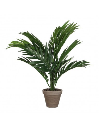 Maceta de palmera amarilla o areca, 46 x 46 x 42 cm