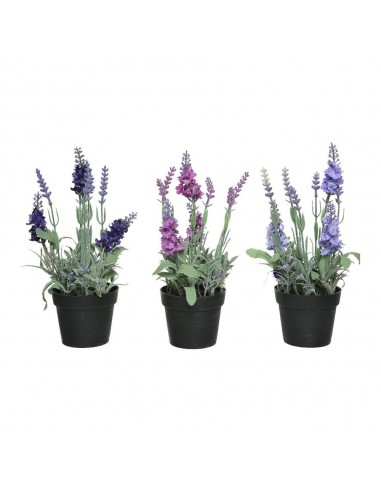 Maceta de lavanda, ø12 x 25 cm, colores surtidos